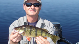 Show 7: Fins & Feathers: Snow Geese, Perch Festival, Wild Turkey & Atlantic Salmon