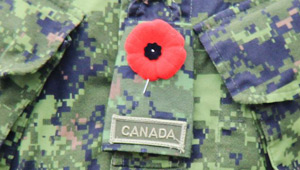 Show 37: Sunday Gun Hunting, Remembrance Day, OOD, Deer Eyesight