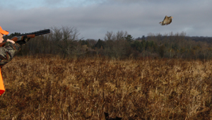 Show 34: Youth Hunting, Advisory Councils, Plant Symposium and more
