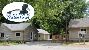 Show 23: Long Point Waterfowl Research & Education Centre, Long Tail Ducks & more