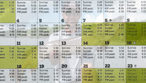 Show 19: Salmon Derby, Family Fishing Week, Summer Pike, Fish & Game Activity